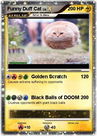 Pokemon Funny Duff Cat