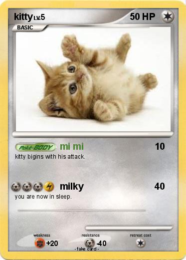 Pokemon kitty