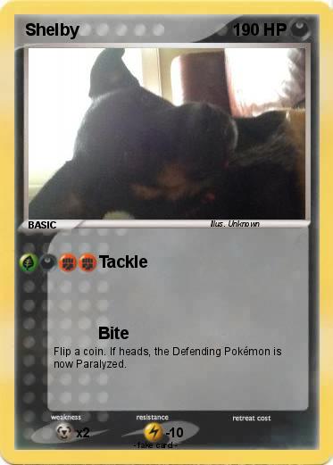 Pokemon Shelby