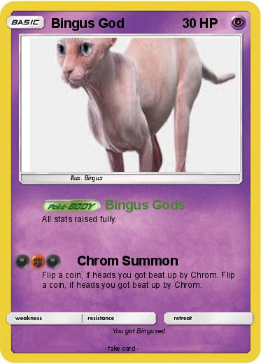 Pokemon Bingus God