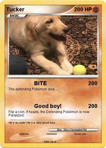 Pokemon Tucker