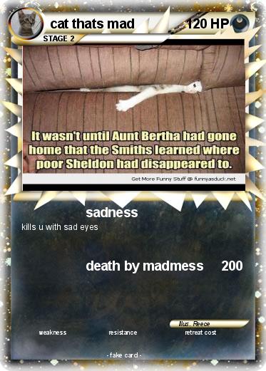 Pokemon cat thats mad