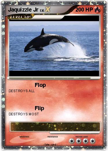 Pokemon Jaquizzle Jr