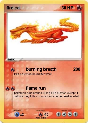 Pokemon fire cat