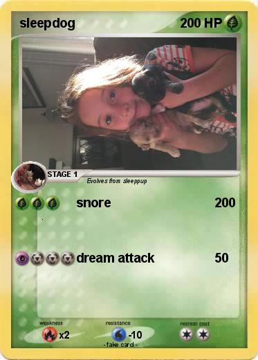 Pokemon sleepdog