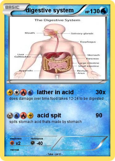 Pokemon digestive system