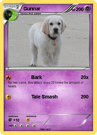 Pokemon Gunnar