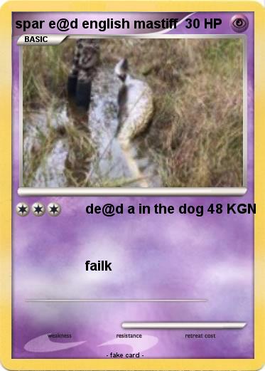 Pokemon spar e@d english mastiff