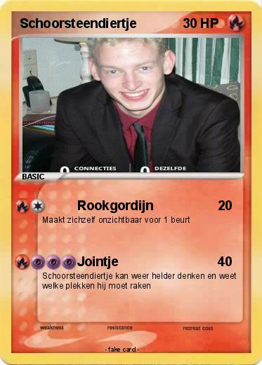 Pokemon Schoorsteendiertje