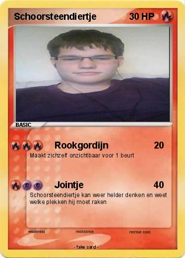 Pokemon Schoorsteendiertje