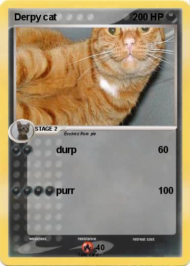 Pokemon Derpy cat