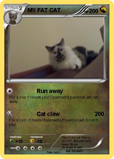 Pokemon MY FAT CAT