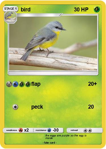 Pokemon bird