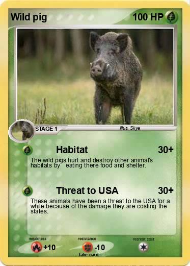 Pokemon Wild pig