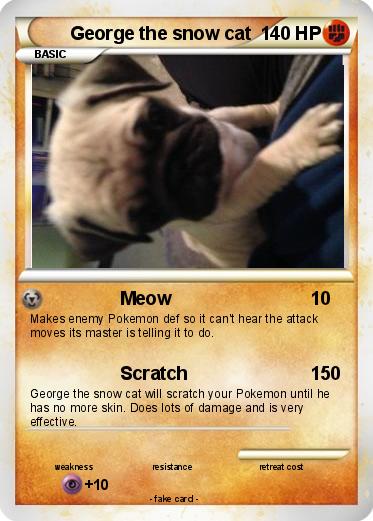 Pokemon George the snow cat
