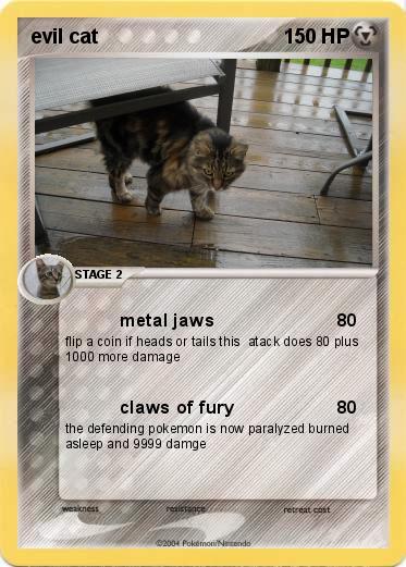 Pokemon evil cat