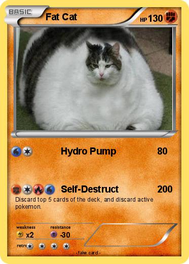 Pokemon Fat Cat