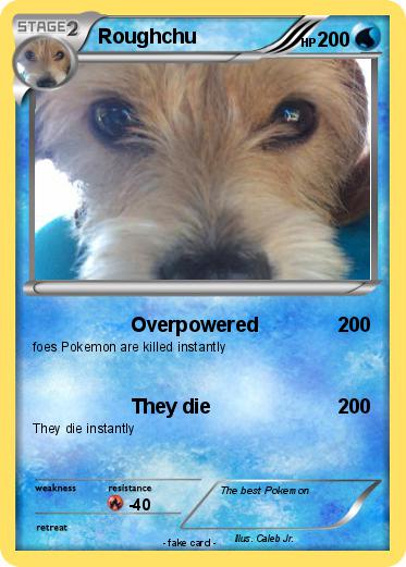 Pokemon Roughchu