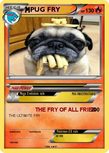 Pokemon PUG FRY