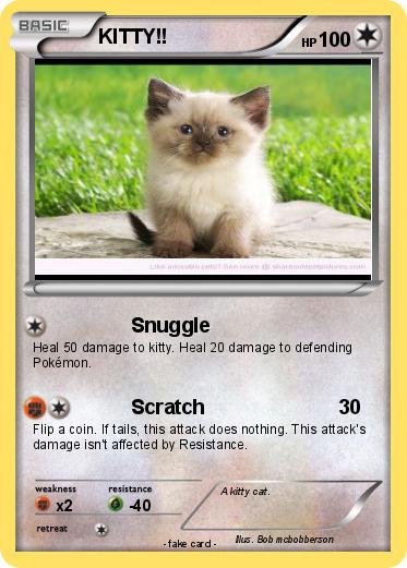 Pokemon KITTY!!