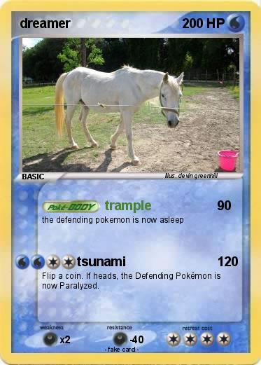 Pokemon dreamer