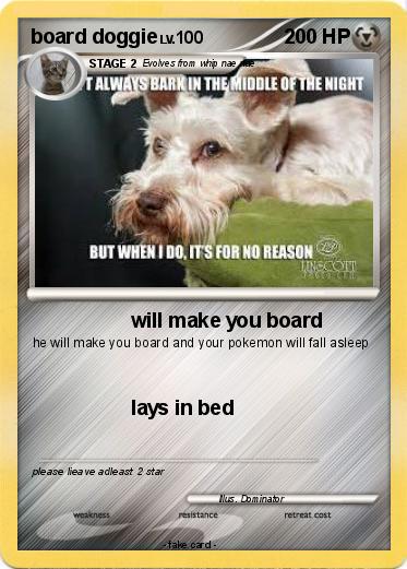 Pokemon board doggie