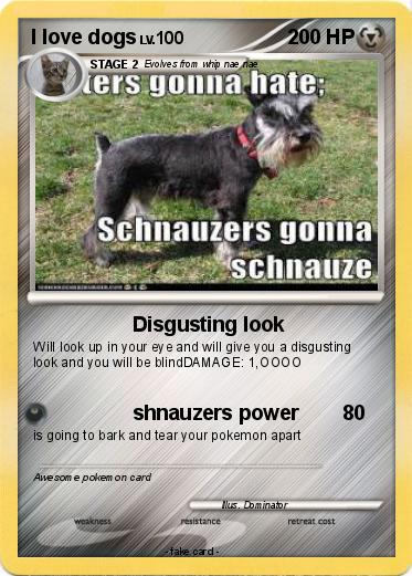 Pokemon I love dogs Pokemon I love dogs
