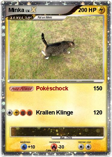 Pokemon Minka