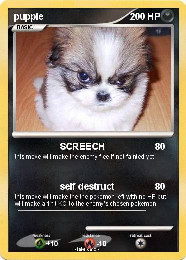 Pokemon puppie