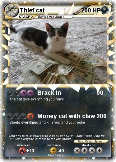 Pokemon Thief cat