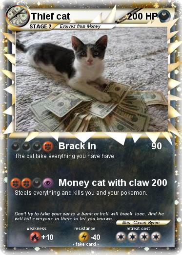 Pokemon Thief cat