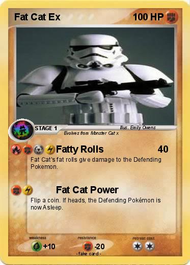 Pokemon Fat Cat Ex