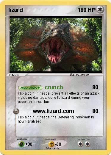 Pokemon lizard