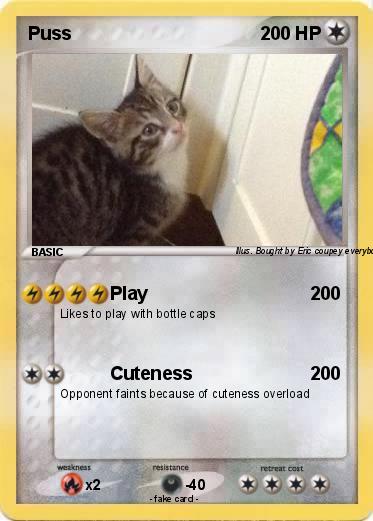 Pokemon Puss