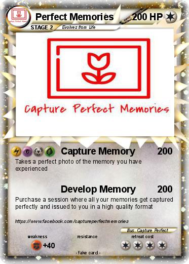 Pokemon Perfect Memories