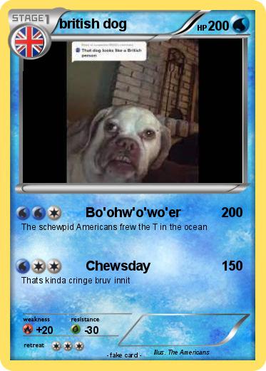 Pokemon british dog