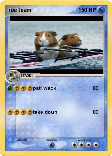 Pokemon roe team
