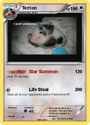 Pokemon Terrion