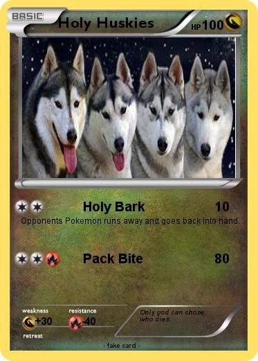 Pokemon Holy Huskies