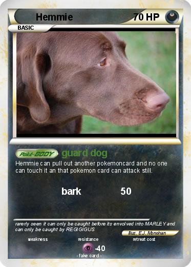 Pokemon Hemmie