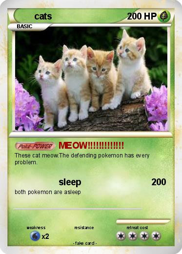 Pokemon cats