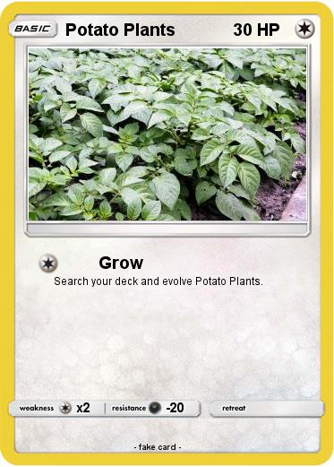 Pokemon Potato Plants