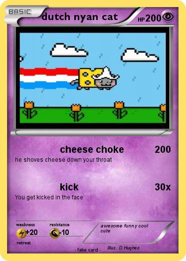 Pokemon dutch nyan cat
