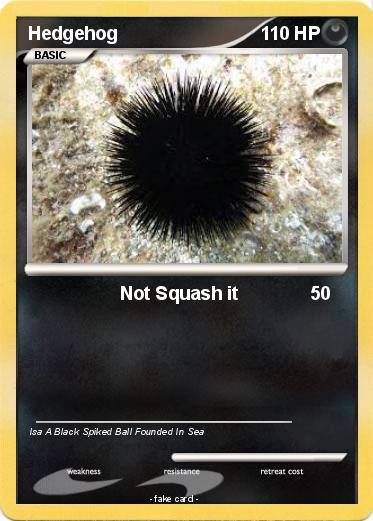 Pokemon Hedgehog