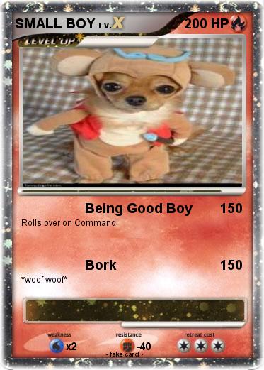 Pokemon SMALL BOY
