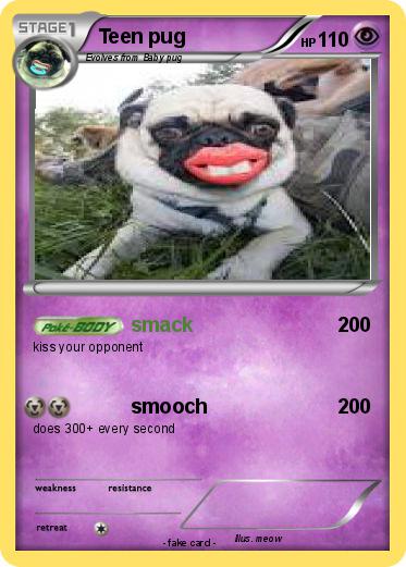 Pokemon Teen pug