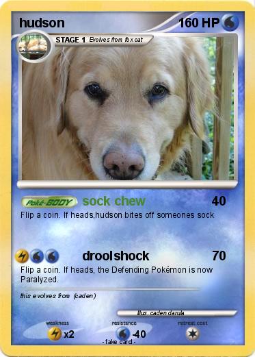 Pokemon hudson