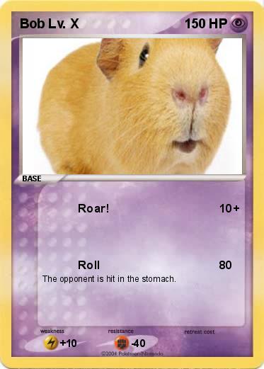 Pokemon Bob Lv. X                 