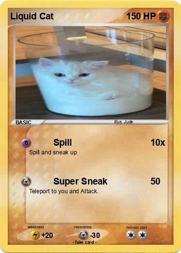 Pokemon Liquid Cat