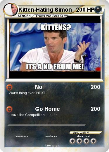 Pokemon Kitten-Hating Simon